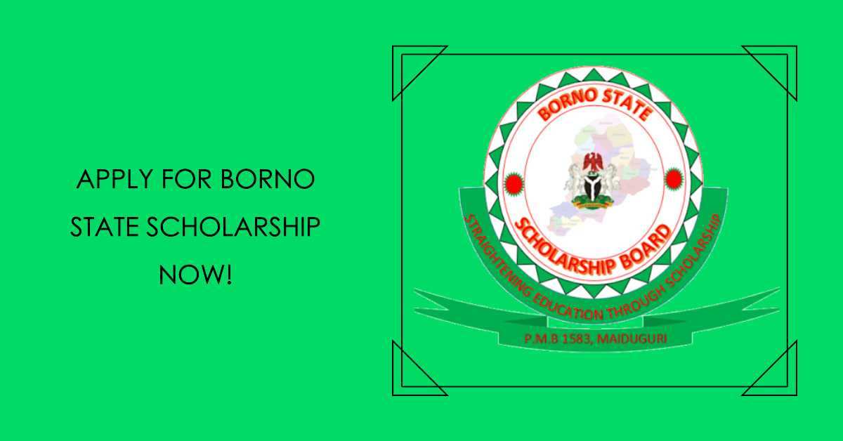 How to Apply for the Borno State Scholarship 2023/2024 Your